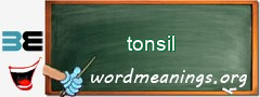 WordMeaning blackboard for tonsil